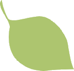 picture of an leaf